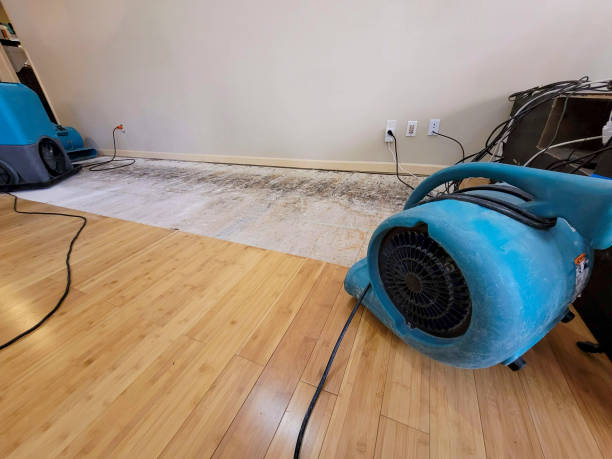 Professional Flood Damage Cleanup technician working in Yucca, AZ